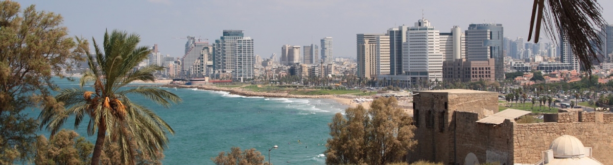 Panorama Tel Aviv (Alexander Mirschel)  Copyright 
License Information available under 'Proof of Image Sources'